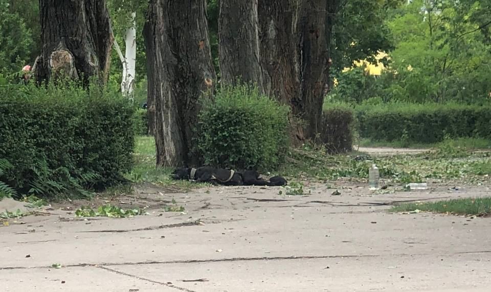  �������� ������� ���������� ������� ��������� ������ ������� 