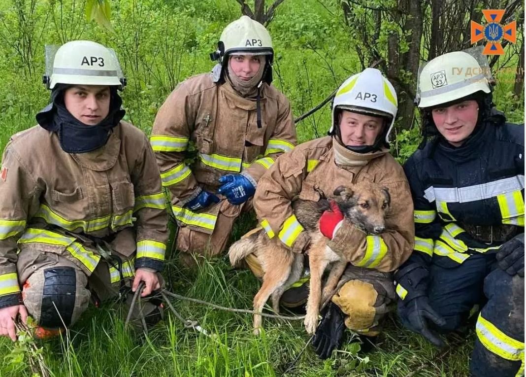  ������� ������������ ������� �������� ������ ��� ����� ������� 