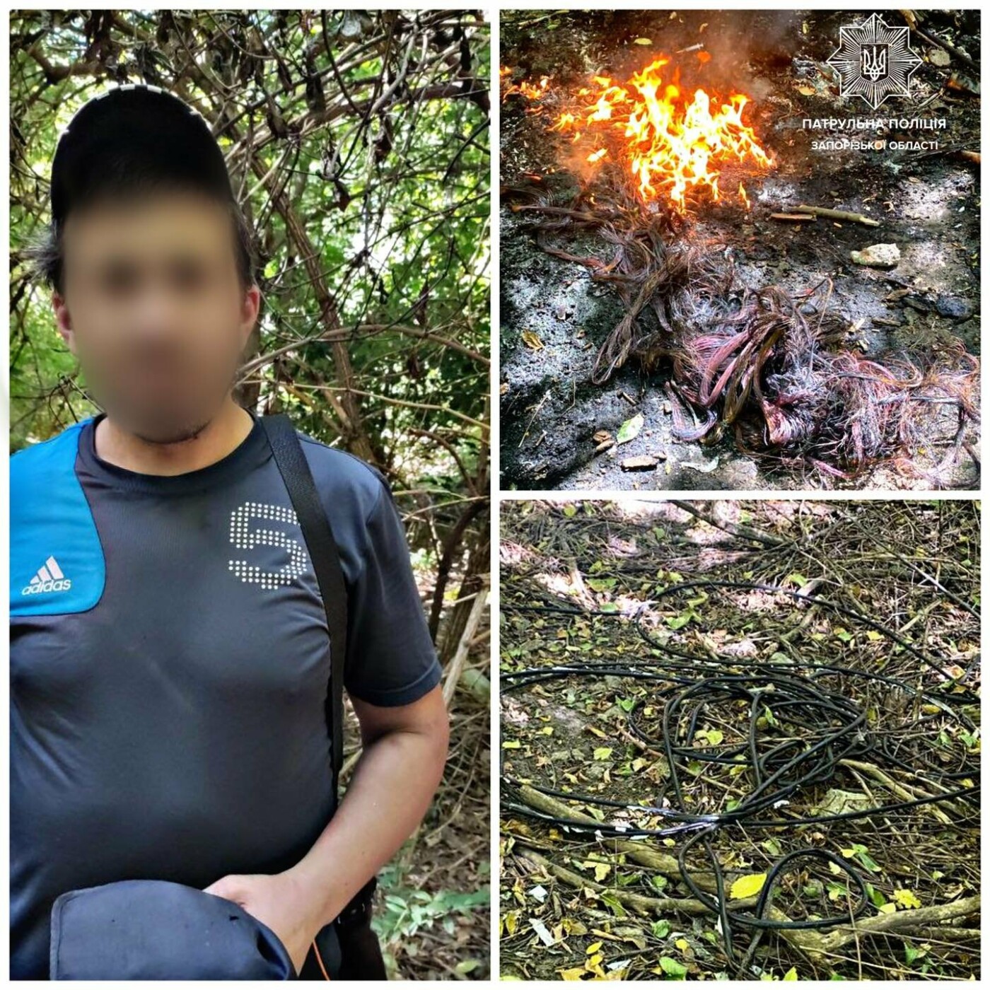 ����: 061.ua