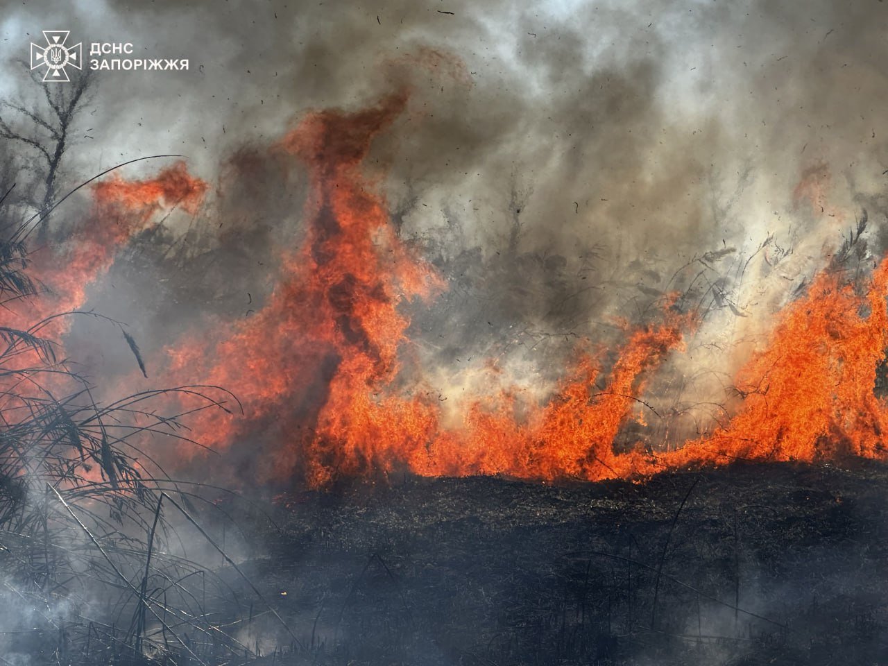 ����: 061.ua