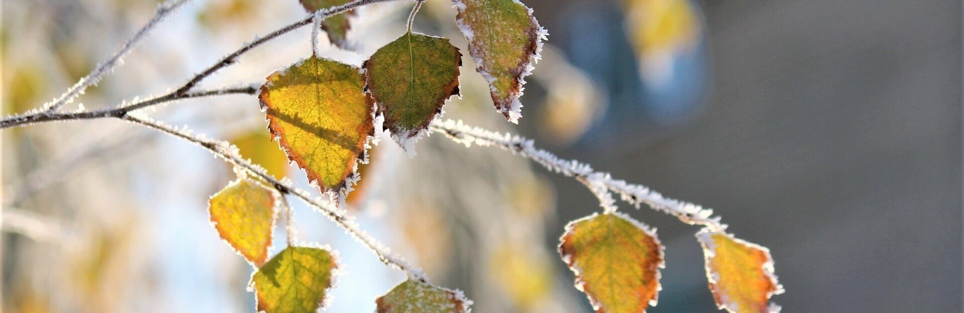  ���� ������ ��� �������� ������� ��������� ������������ 