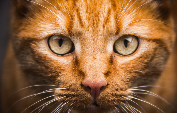  ��������� ��������� ����� ���������� ������� ������ ���������� ������ 