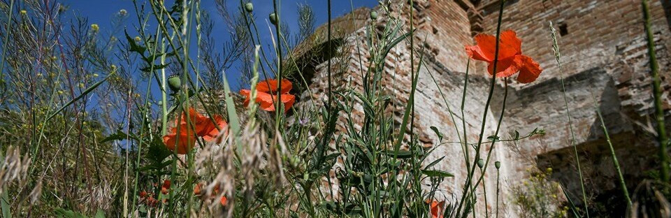  ����������� ���� ������ �������� ����� ������������ 