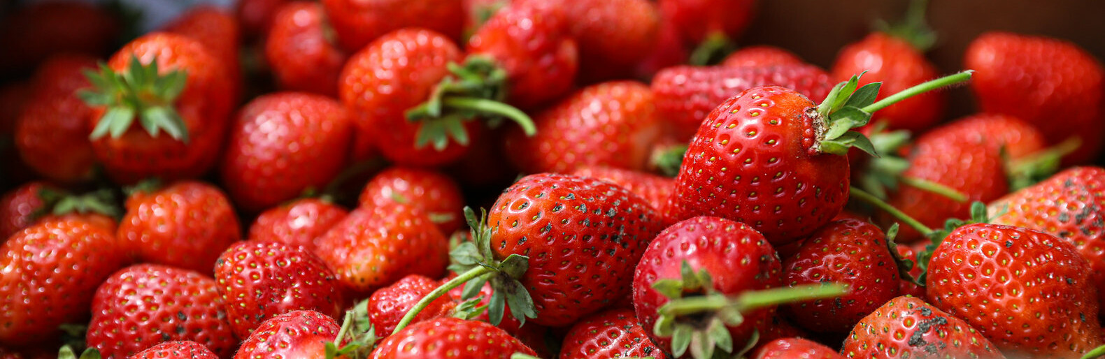  ������ ���� ����� �������� ����������� ���� ���������� �������� 