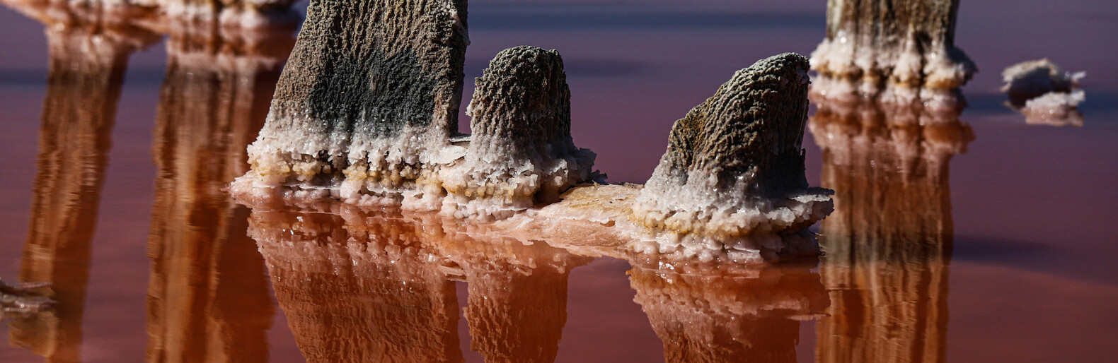  ������� ��������� ������� ����� ���������� ����� ���������� ������� 