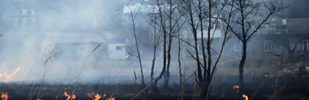  ����������� ������� ��������� ����� ���������� ������ ������ �������� 