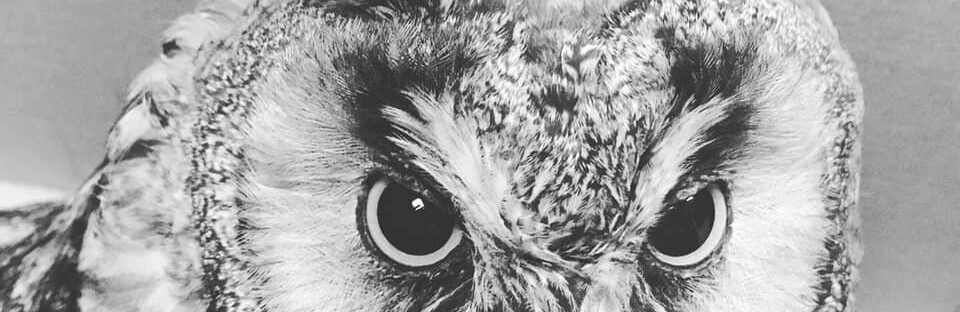  ����������� ������������ ���������� ������ ������� �������� ������ ����� 