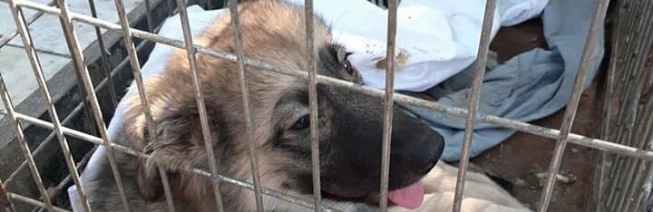  ������ ��������� ������� ����� ������ ������ ������ 