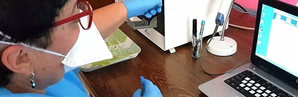 ����: 061.ua