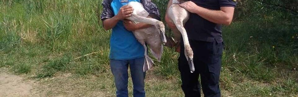  ����������� ������� ������ ������� ����������� ������� ���� 