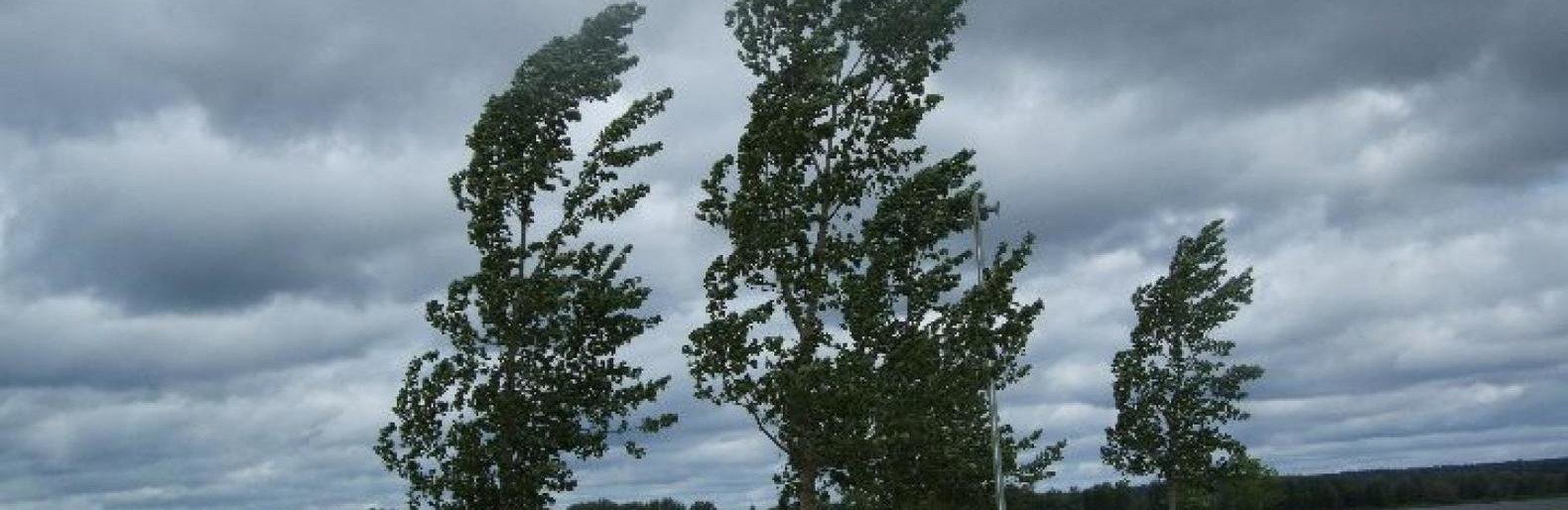 ����: 061.ua