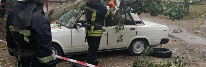  ��������� ������ ������ ���������� ���� 