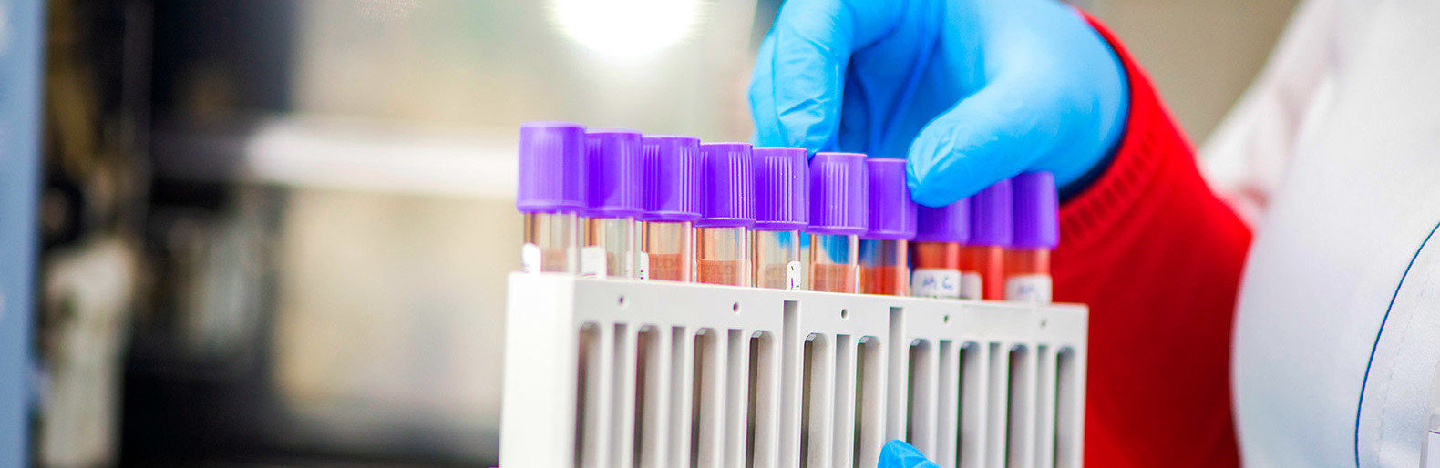  ������ ���� �������� ����������� ���������� covid-19 ������� ������� 