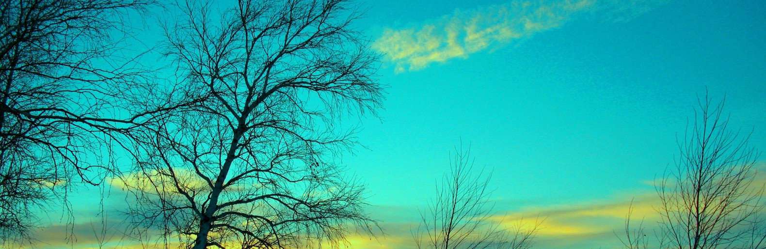  ������ �������� �������� ��������� ������ ����� �������� ������� 