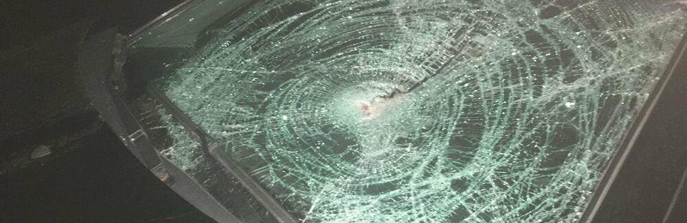  ������ ������ ���� �������� ����� �������� ������� ������������ 