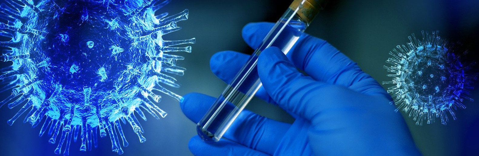  590 ������� ������� ������� ���������� covid-19 