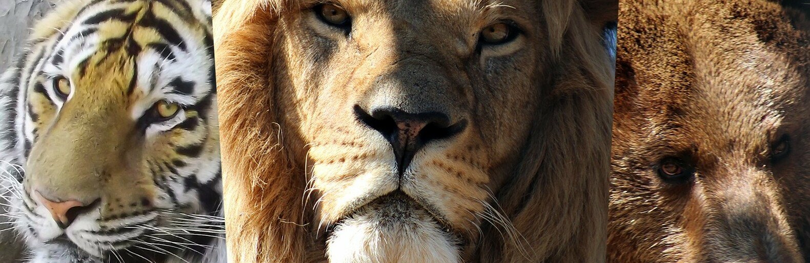  ������ ���������������� ������ ���������� ������ ���������� ������ ���� 