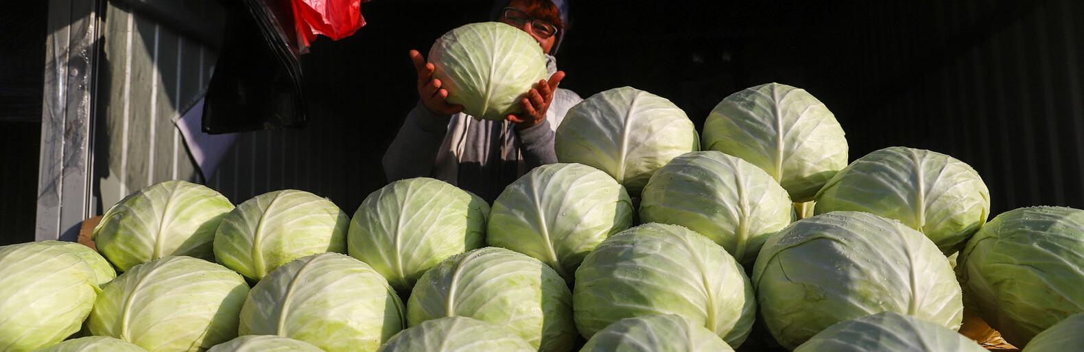  �������� ���� ����� ������������ ������ �������� �������� ����� 