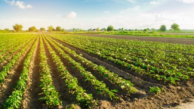  ����������� ������� ����������� ���������� ������������ ������ 