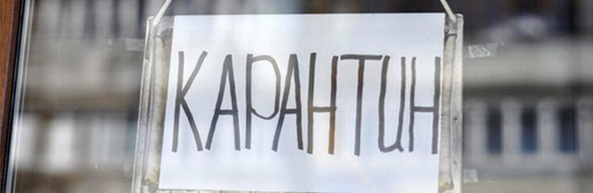  ������� ������� �������� ��������� ���������� ����������� ��������� 