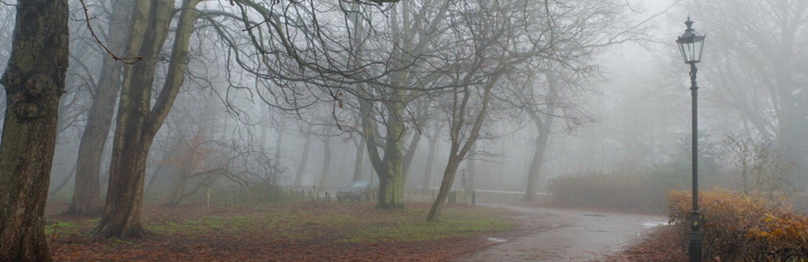  �������������� ��������� ������ ��������� ����� ��������� ����� 