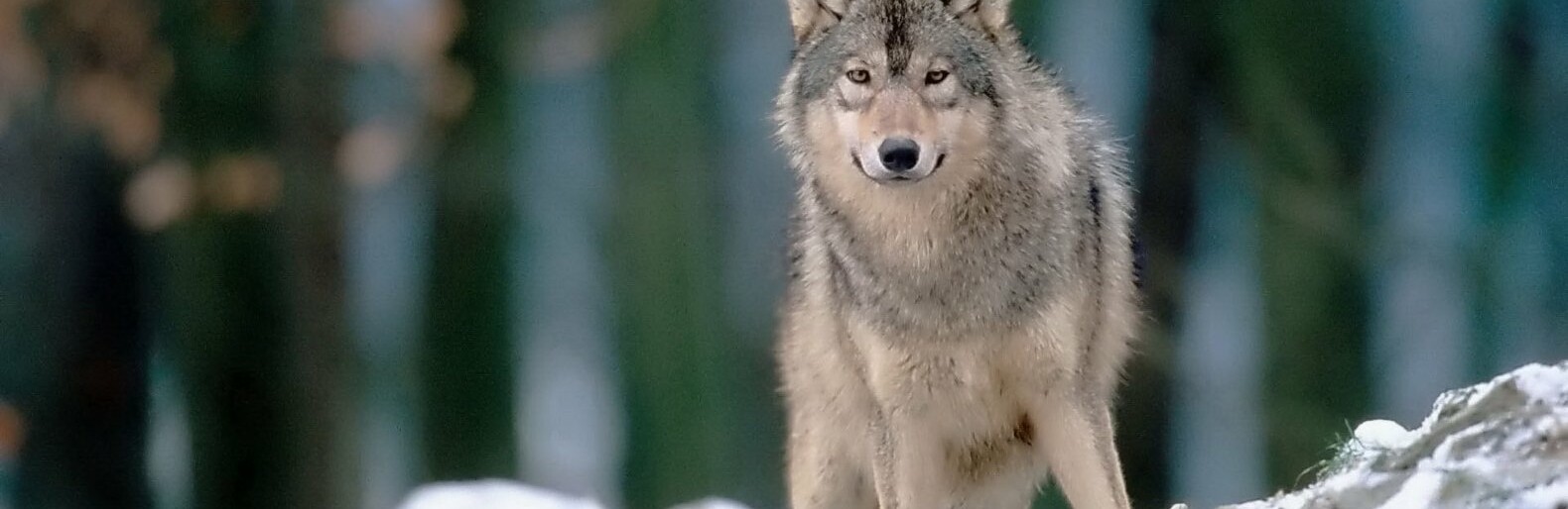  ���� ���������� ���� ��������� ������� �������� �������� ������� 