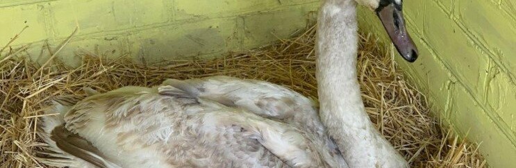  ���������� ����� ���� ������������� ������ 