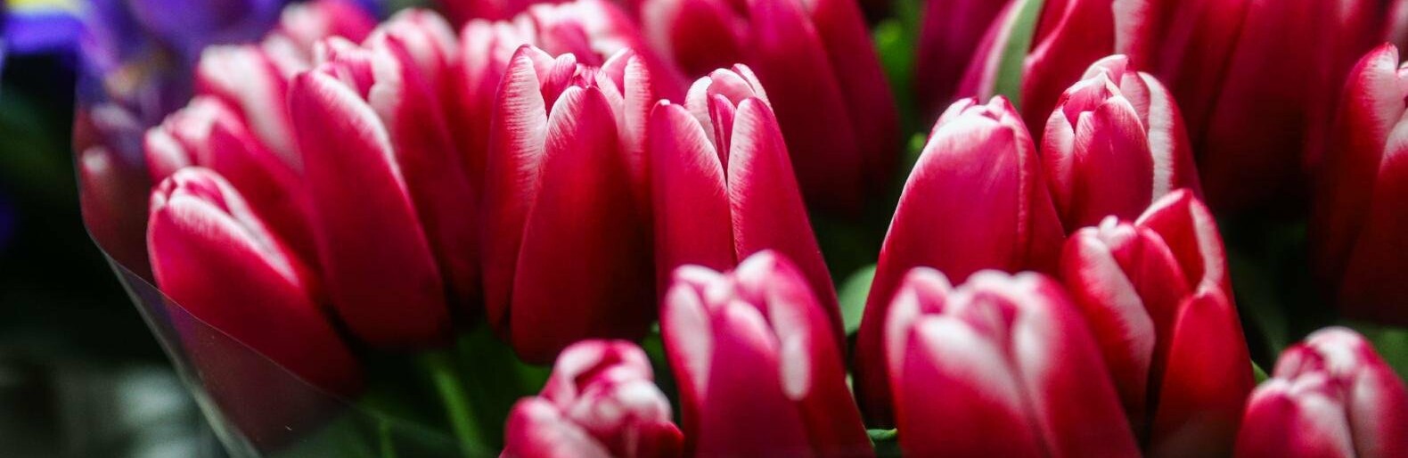  ����������� ������� ����� ��������� ���������� ������������ 