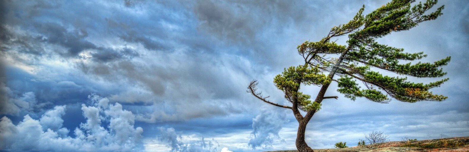  ������� �������� �������� ����� ��������� ���� �������� ���������� 