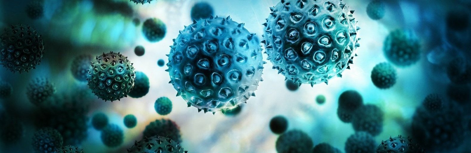  ������� ����� ����� 000 ������� �������������� ������� 200 