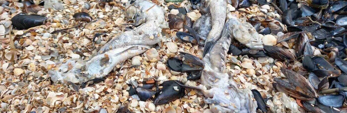  ����� �������� ������ ���� ���������� ������� ��������� ������������ 