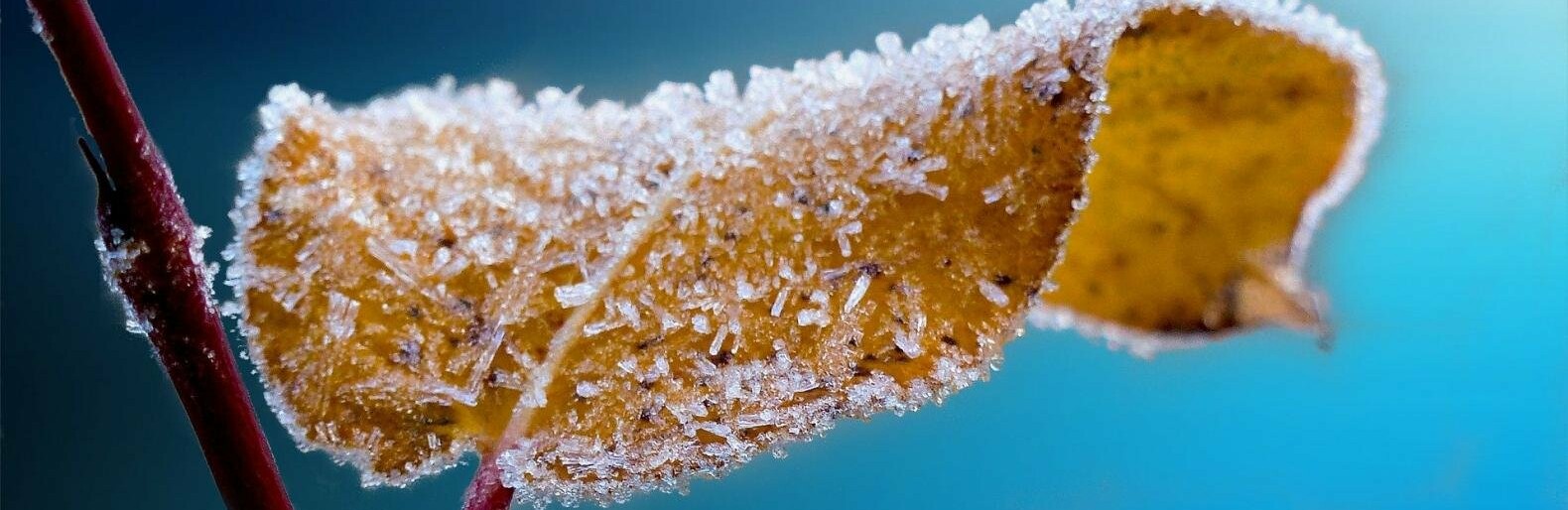  ��������� �������� ����������� ������� ������� ������������ ���������� 