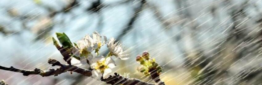  ���� ������������ ������ ��������� ������ ����������� ������� 