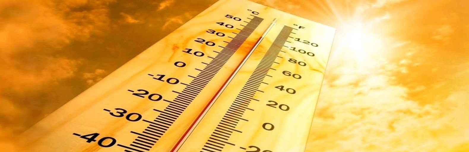  ������ ��������� ������� ������ ������� ����������� 