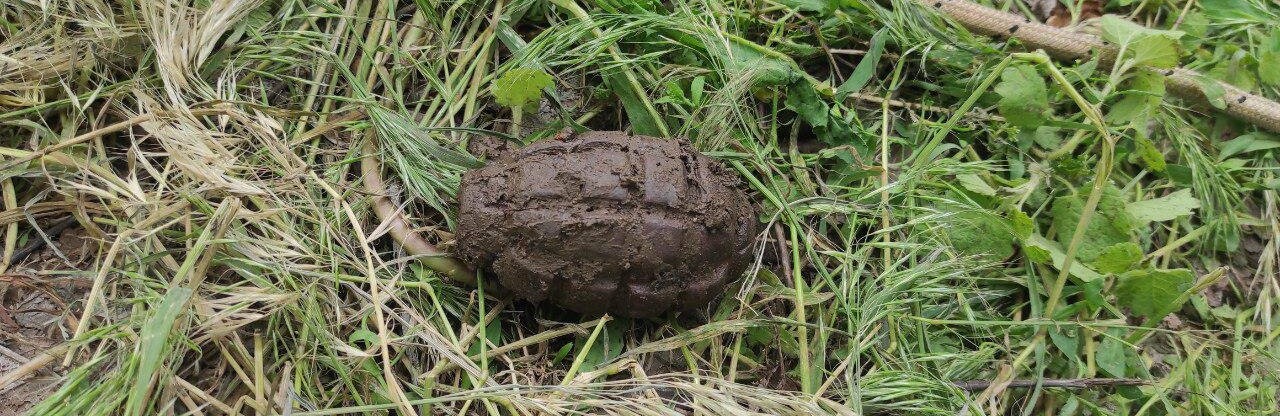  ����������� ���� 14-�������� ������� ����� ������� �������� 