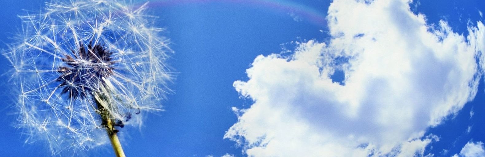  ������ ��������� ������� ������� ��������� 