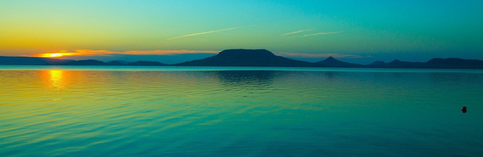  ������ ��������� �������� ������ ������ ���� ����������� 