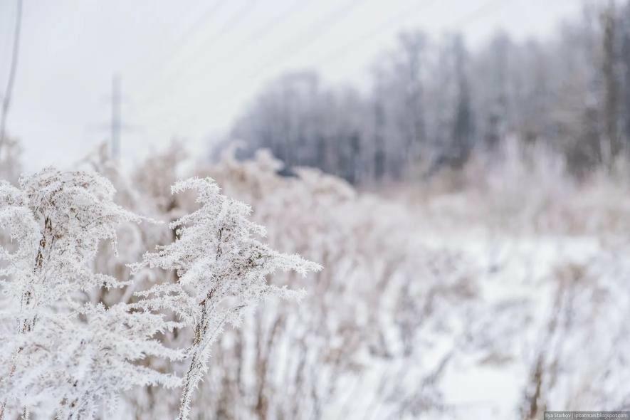 Синоптики попереджають про туман у Запоріжжі