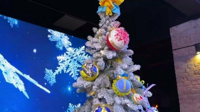 У Запоріжжі облаштують дві новорічні локації