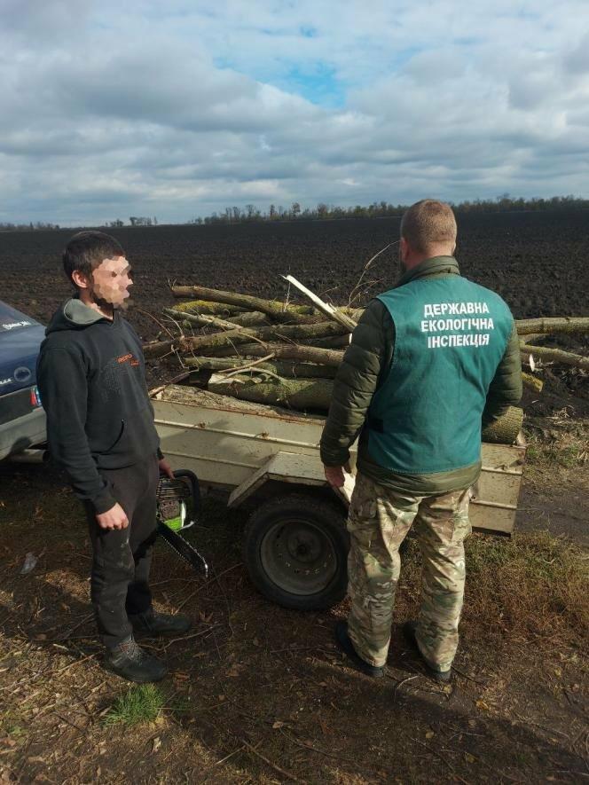 У Запорізькому районі виявили незаконну вирубку дерев у лісосмузі