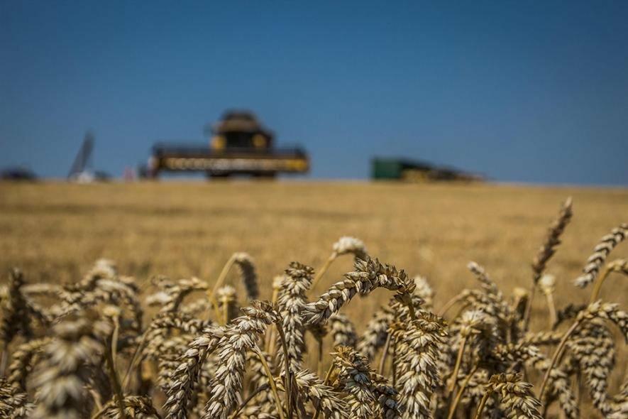 Через ворожі обстріли у передмісті Запоріжжя горіло поле з пшеницею