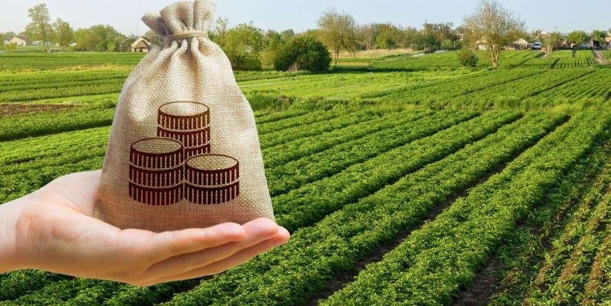 Запорізька ОВА пропонує звільнити бізнес від податків на землю і нерухомість: скільки коштів втратять бюджети громад