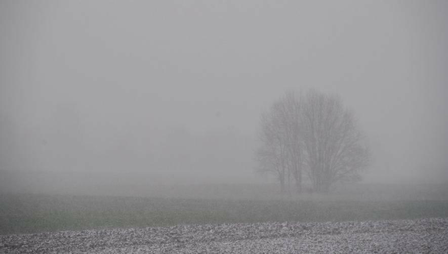 У Запорізькій області оголосили штормове попередження через туман
