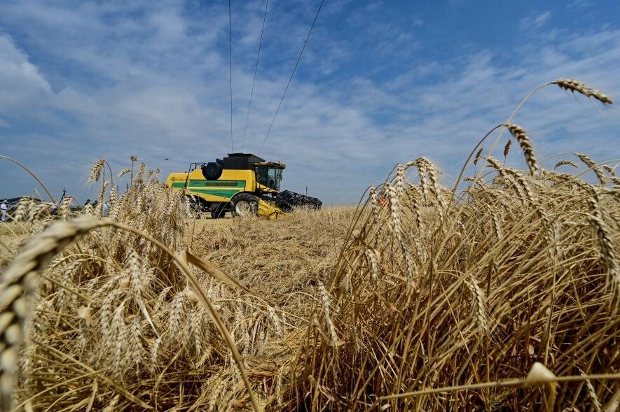 У Запорізькій області аграрії зібрали 440 тисяч тонн зернових та зернобобових