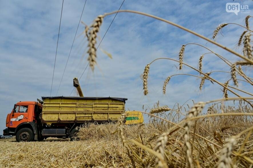 В Запорізькій ОВА розповіли про збитки аграріїв через напад Росії 