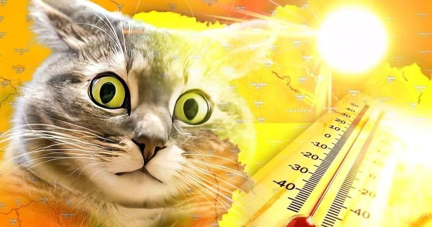 Запорізький гідрометцентр прогнозує спекотний червень