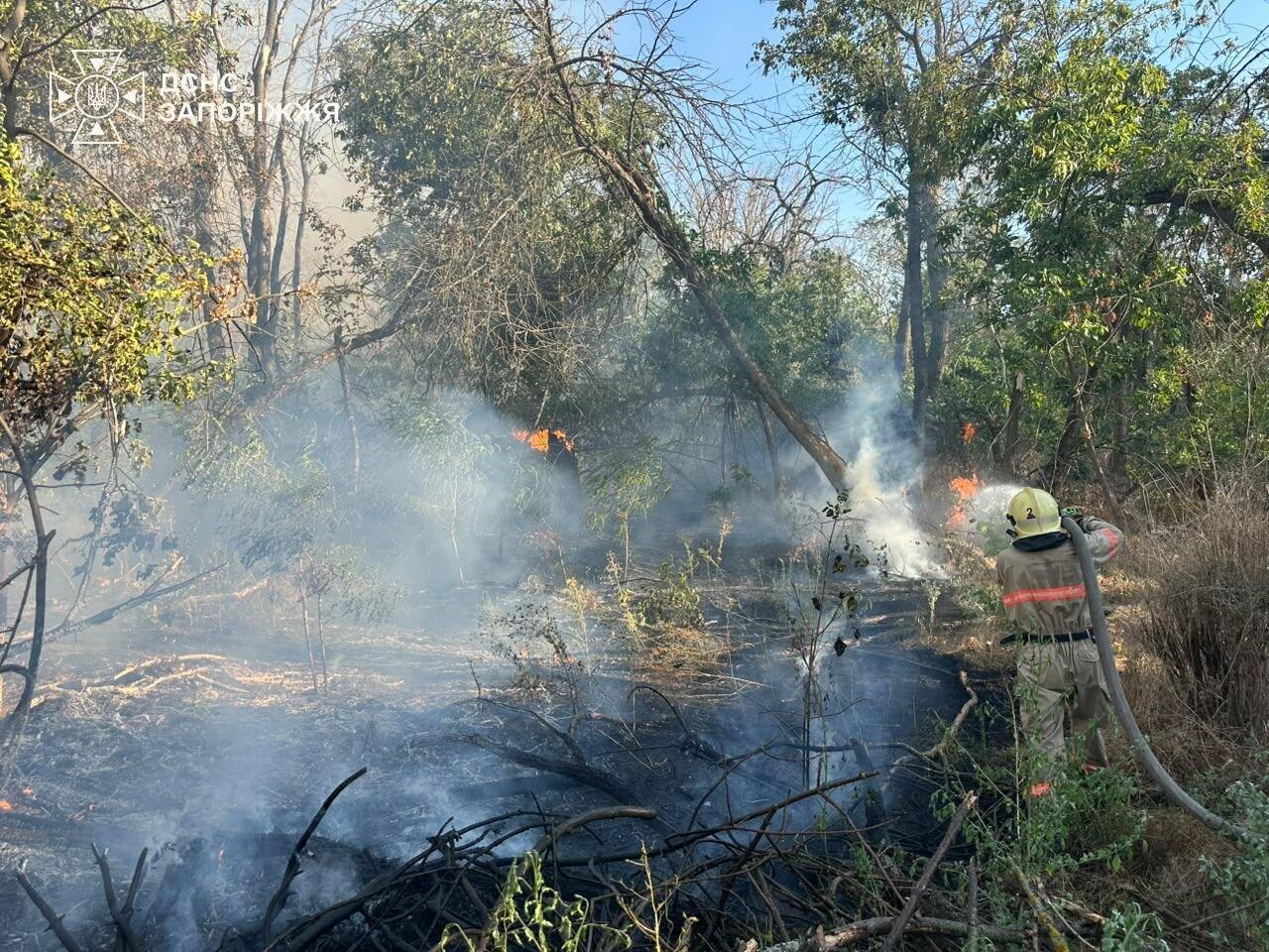 У Запоріжжі горіло 3 га сухої трави та чагарників