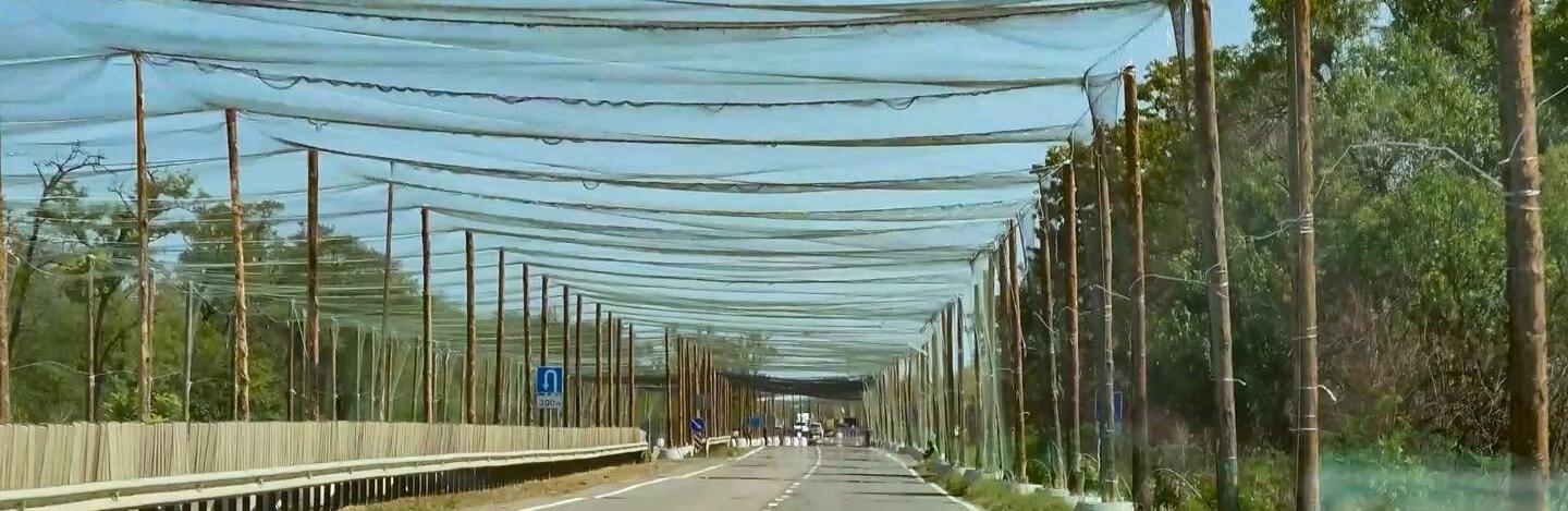 Кабмін виділив кошти на антидроновий захист доріг у Запорізькій області