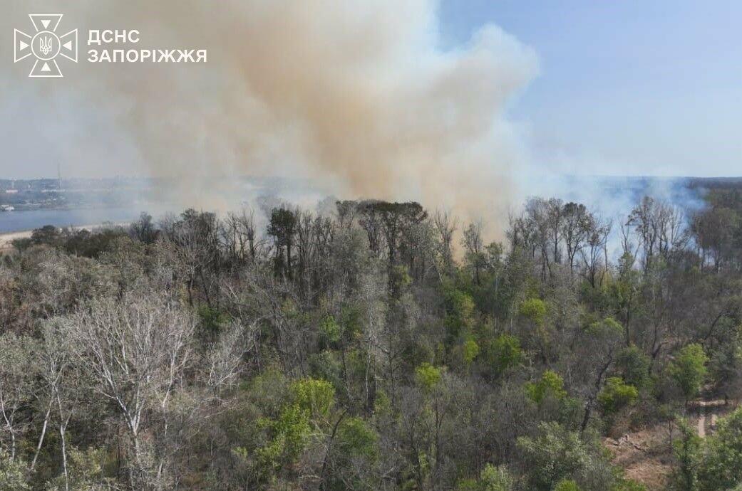 У Запоріжжі та області за добу сталося 18 пожеж в екосистемах