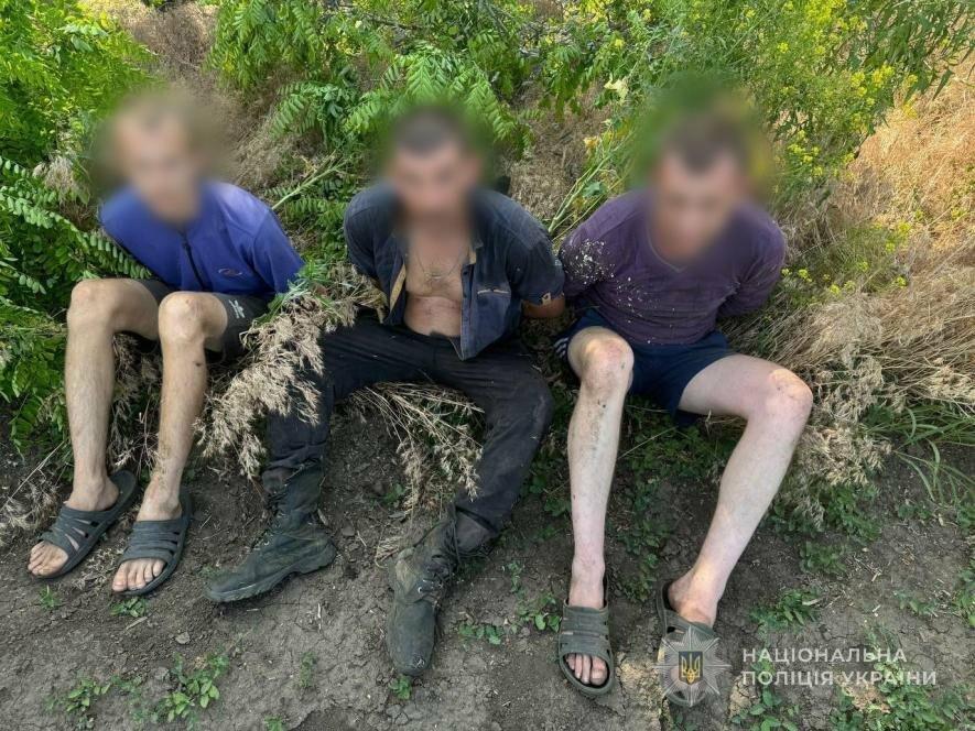 У Запорізькому районі за незаконну вирубку дерев затримали трьох чоловіків